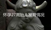 怀孕27周胎儿发育情况，怀孕27周的注意事项