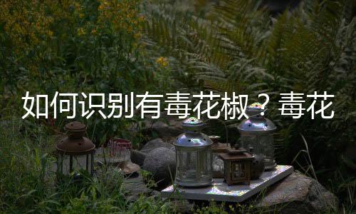 如何识别有毒花椒？毒花椒的鉴别方法